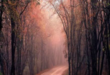 开云APP-世纪之战！法兰西雄鸡破晓，三狮利爪出鞘——数据解码英法欧冠级巅峰碰撞