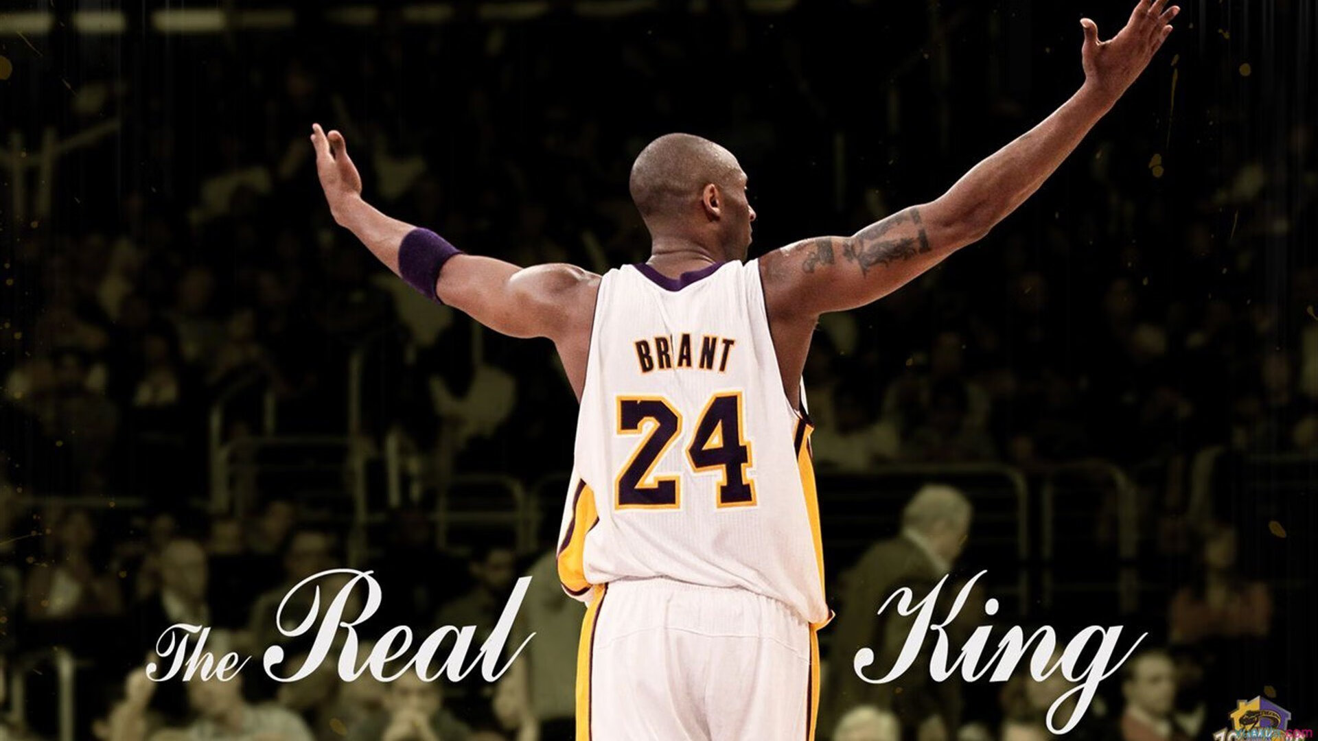 范弗利特定律，当黄蜂遇上山西，舞台越大，他的刀锋越利